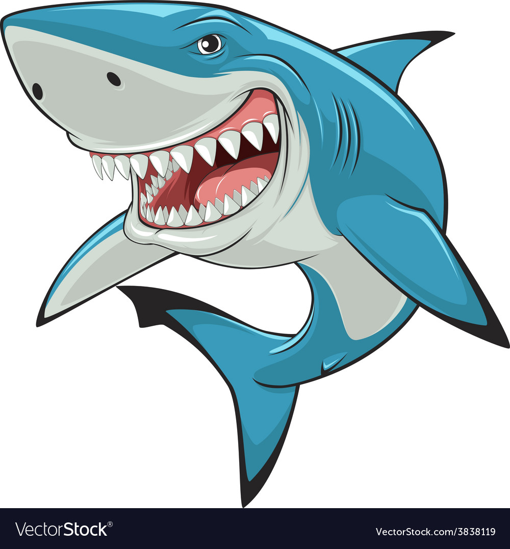 Detail Shark Vector Image Nomer 4