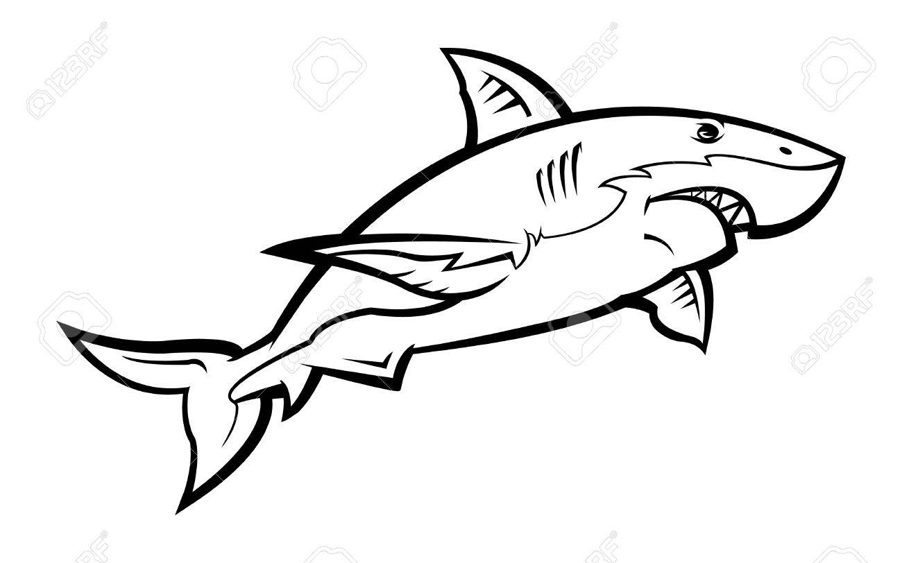 Detail Shark Vector Image Nomer 32