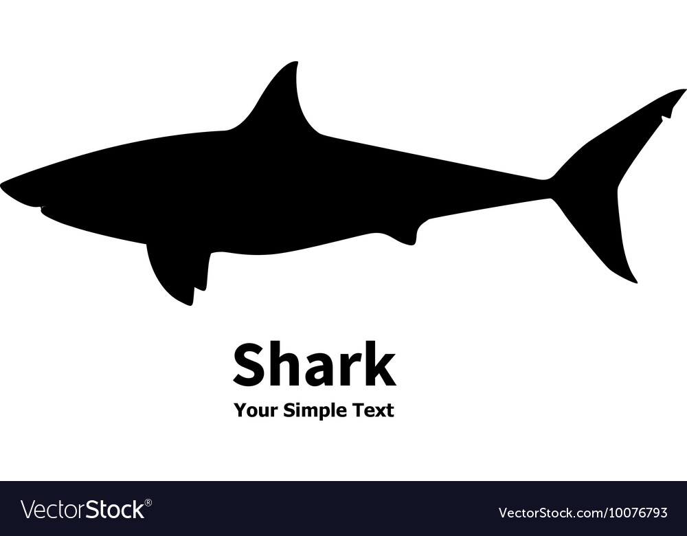 Detail Shark Vector Image Nomer 33