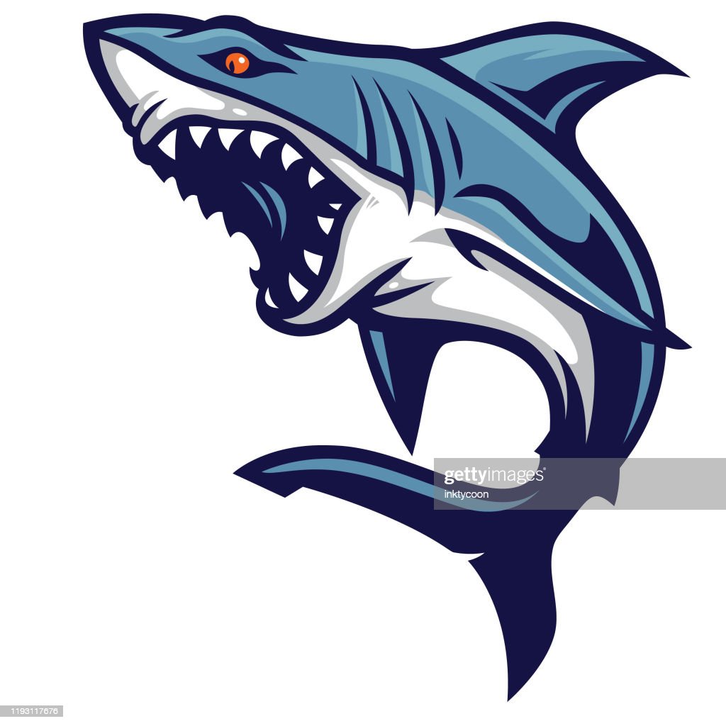 Detail Shark Vector Image Nomer 37