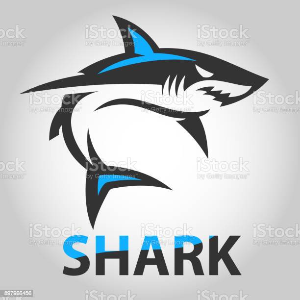 Detail Shark Vector Image Nomer 38