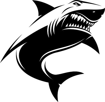 Detail Shark Vector Image Nomer 5