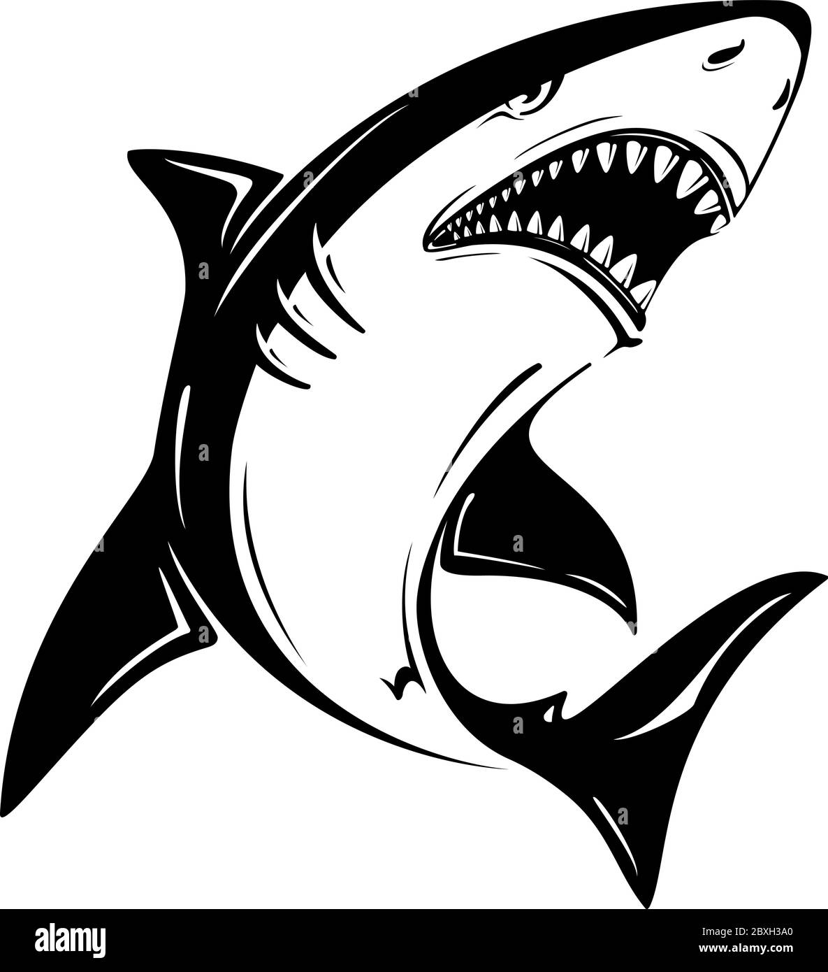 Detail Shark Vector Image Nomer 42