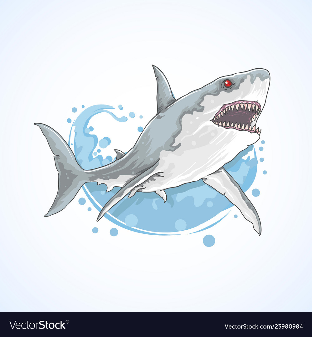 Detail Shark Vector Image Nomer 47