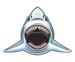 Detail Shark Vector Image Nomer 48