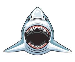 Detail Shark Vector Image Nomer 48