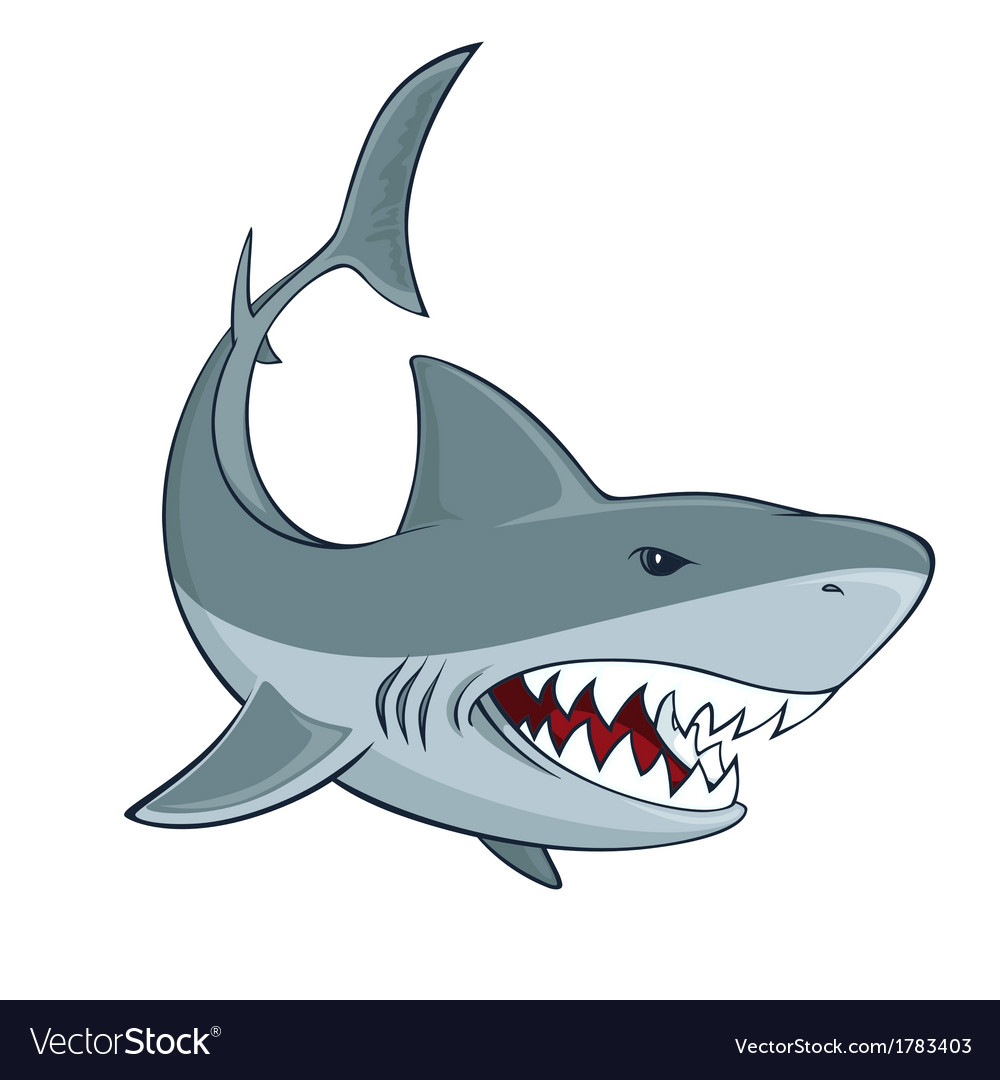 Detail Shark Vector Image Nomer 6