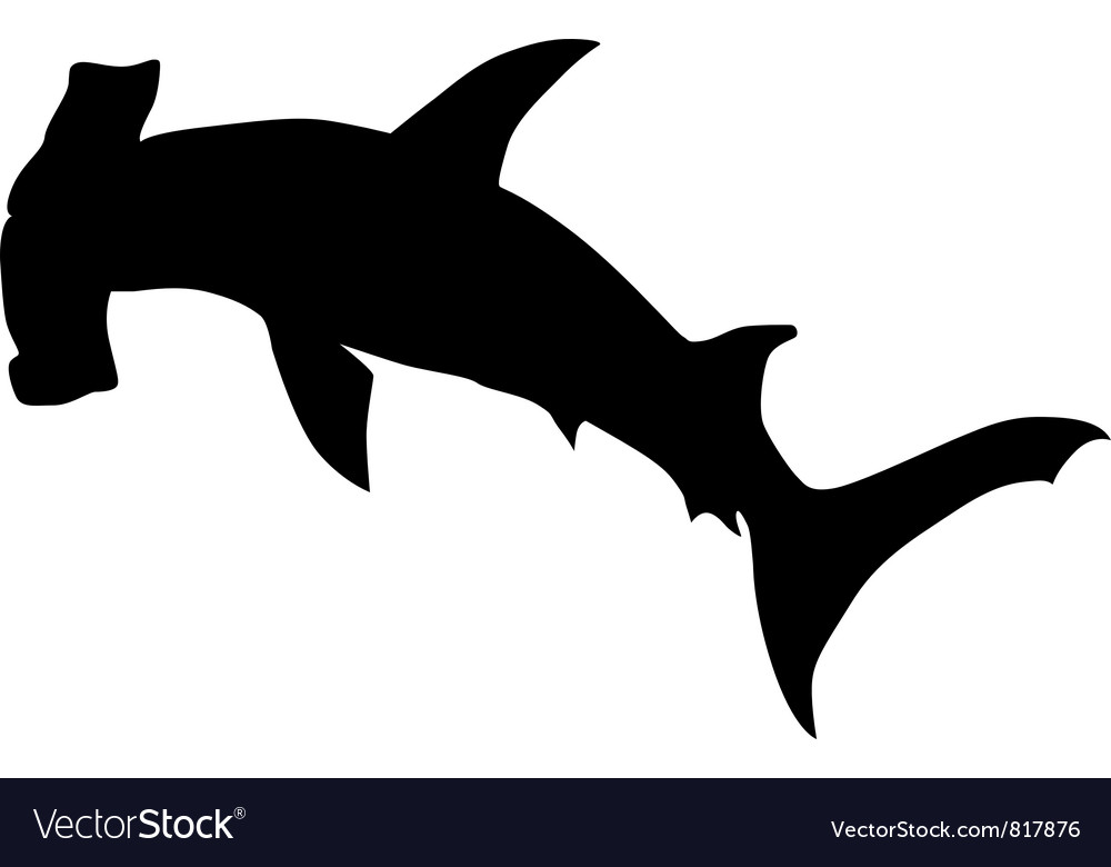 Detail Shark Vector Image Nomer 49