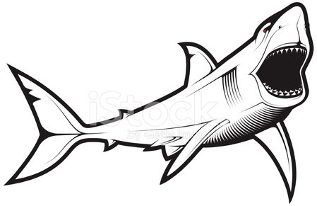 Detail Shark Vector Image Nomer 53