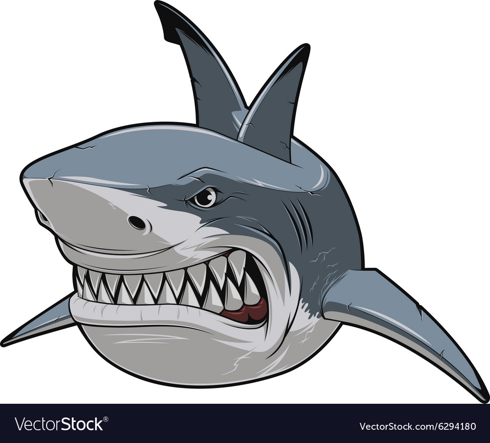 Detail Shark Vector Image Nomer 57