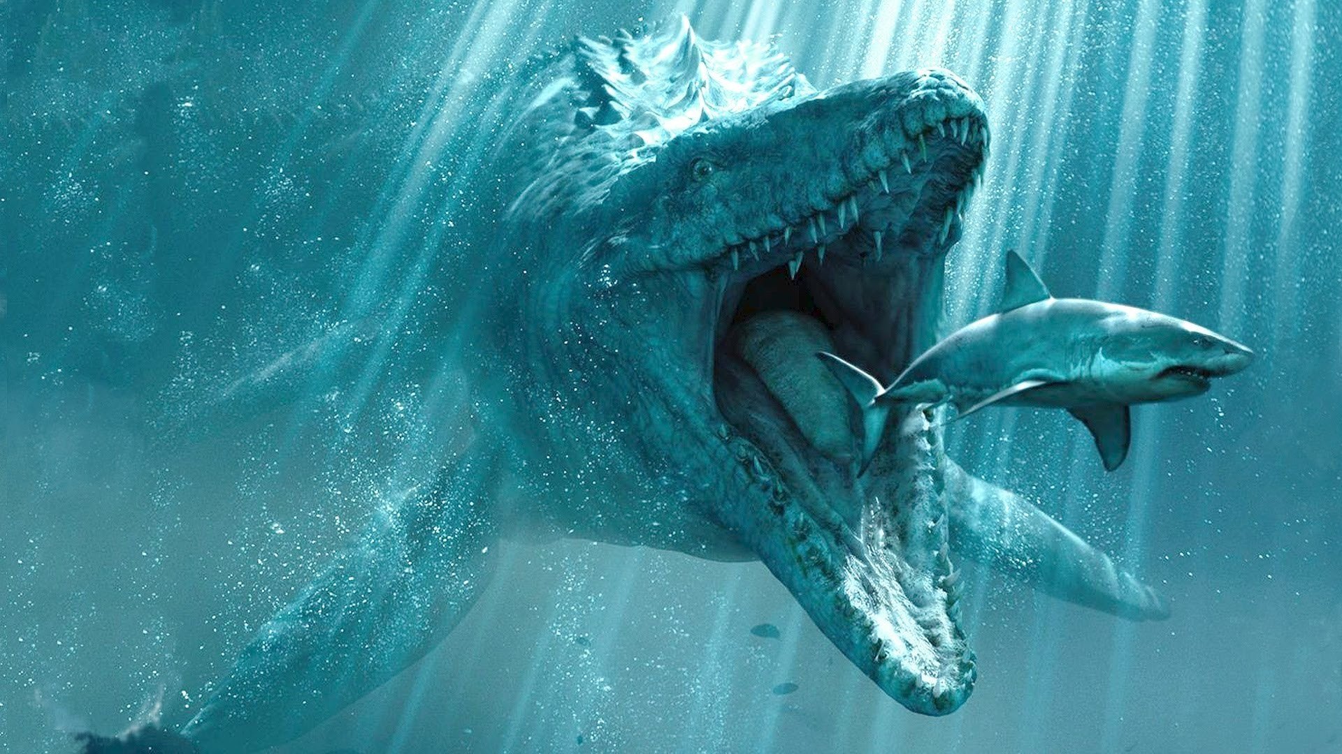 Detail Shark Wallpaper Hd Nomer 27