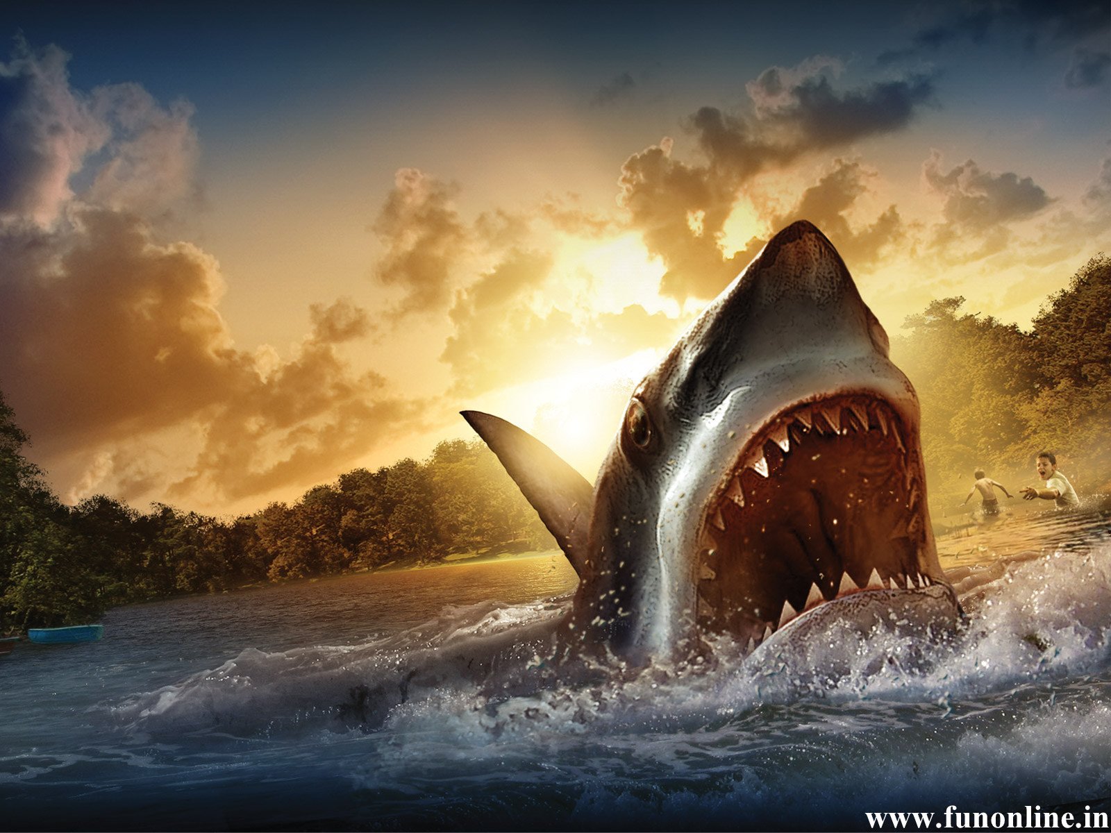 Detail Shark Wallpaper Hd Nomer 7