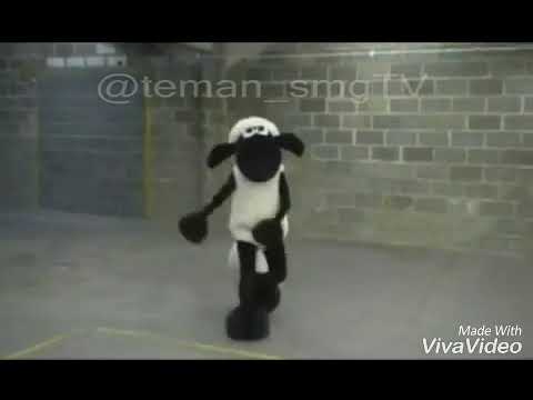 Detail Shaun The Sheep Idul Adha Nomer 2