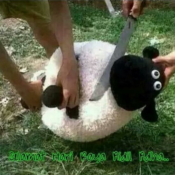 Detail Shaun The Sheep Idul Adha Nomer 29