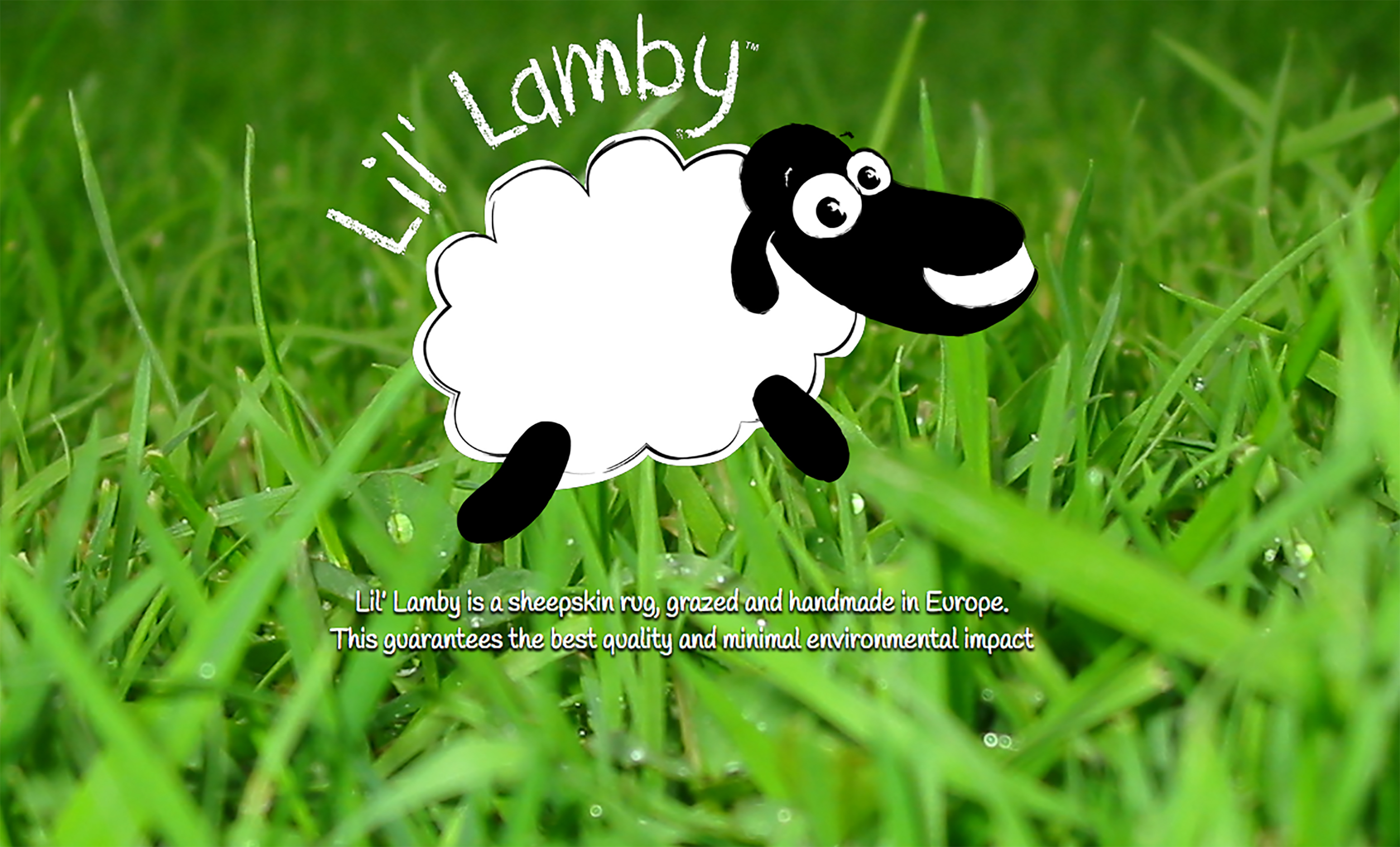 Detail Shaun The Sheep Idul Adha Nomer 43