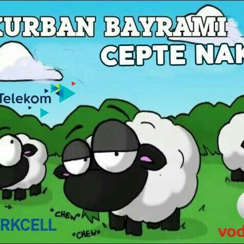 Detail Shaun The Sheep Idul Adha Nomer 45
