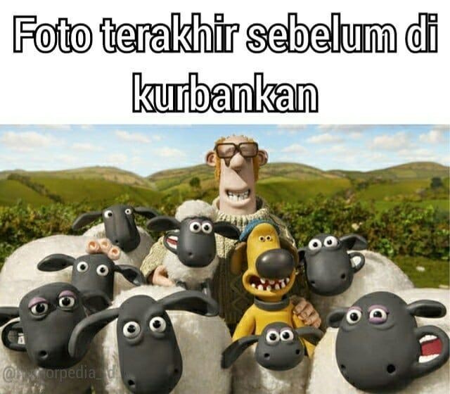 Detail Shaun The Sheep Idul Adha Nomer 49