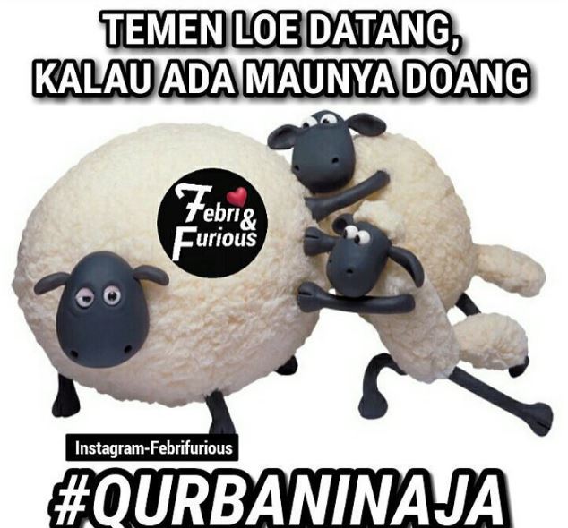 Detail Shaun The Sheep Kurban Nomer 14