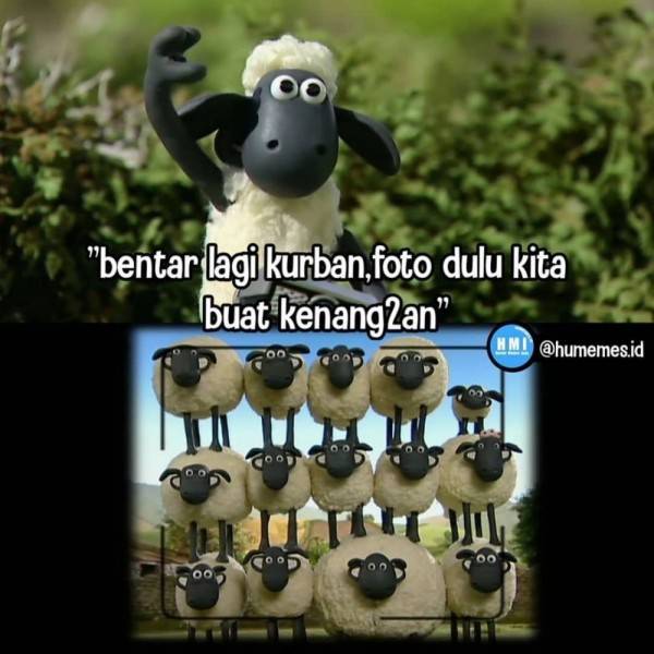 Detail Shaun The Sheep Kurban Nomer 15