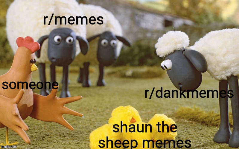 Detail Shaun The Sheep Meme Nomer 3