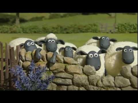 Detail Shaun The Sheep Meme Nomer 28