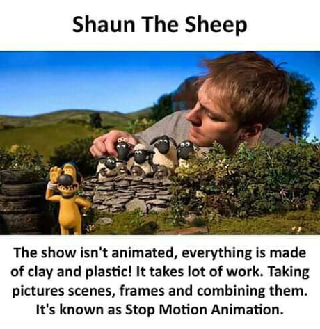 Detail Shaun The Sheep Meme Nomer 35