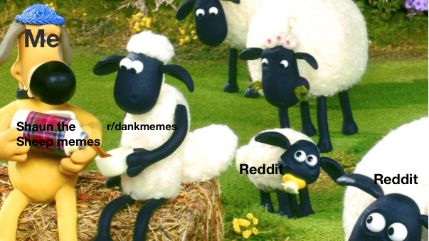 Detail Shaun The Sheep Meme Nomer 6