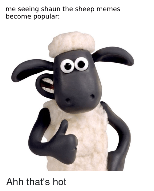 Detail Shaun The Sheep Meme Nomer 54