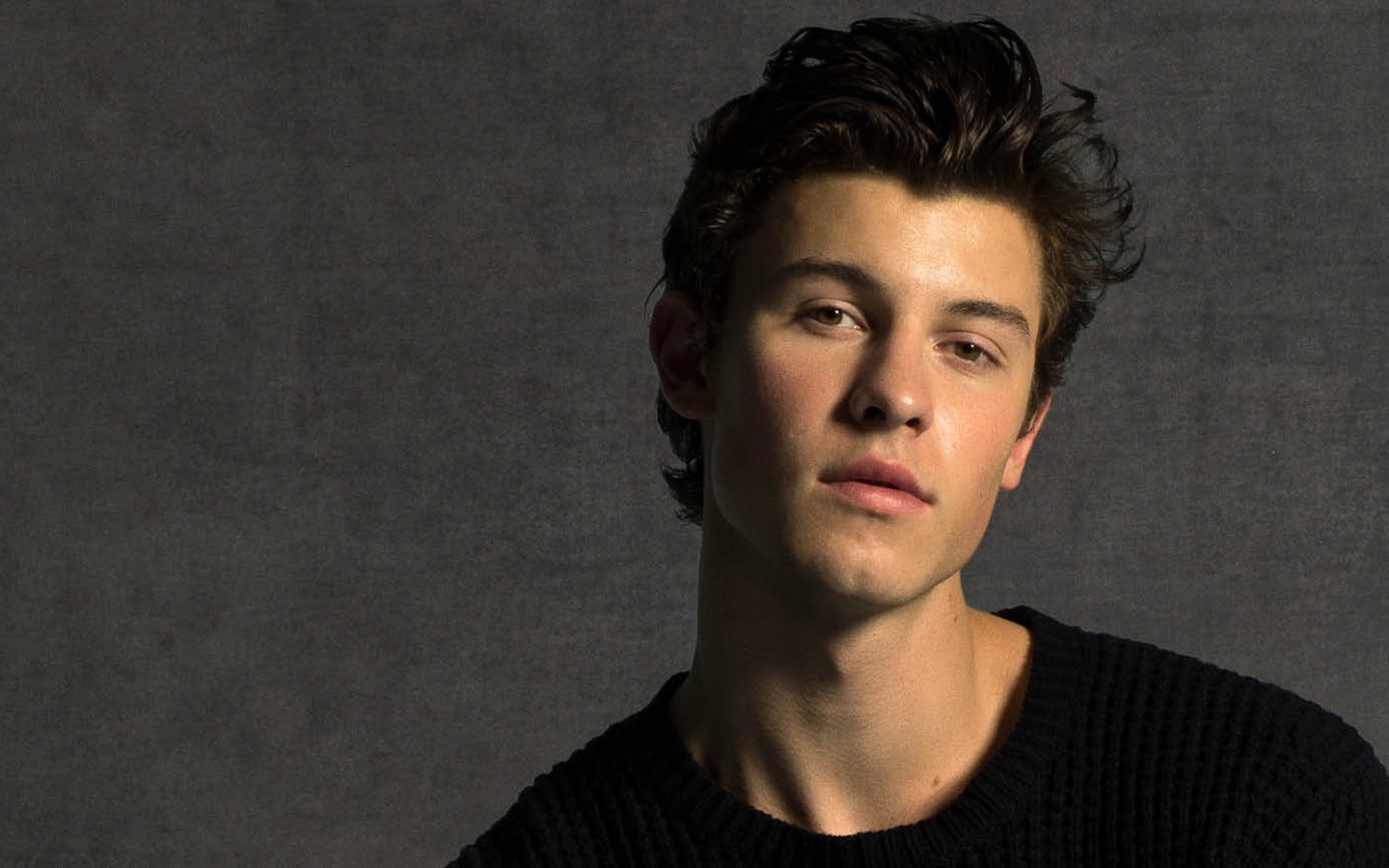 Detail Shawn Mendes Computer Wallpaper Nomer 45