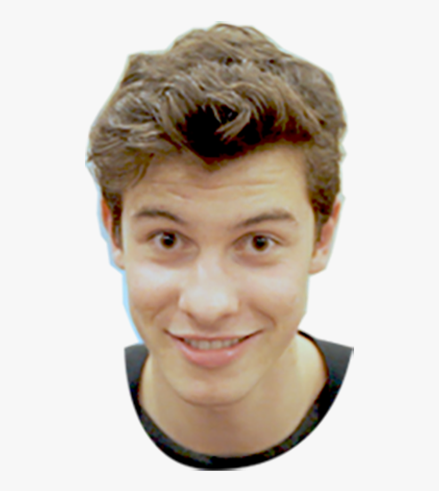 Detail Shawn Mendes Png Nomer 30