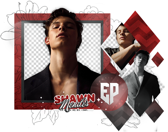 Detail Shawn Mendes Png Nomer 32