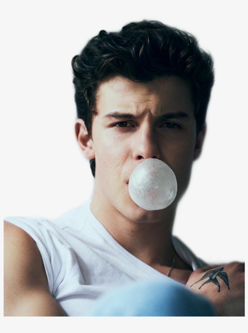 Detail Shawn Mendes Png Nomer 51