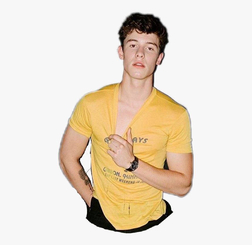 Detail Shawn Mendes Png Nomer 52