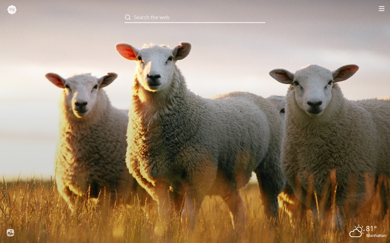 Detail Sheep Hd Nomer 2