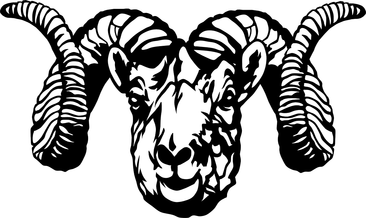 Detail Sheep Head Png Nomer 36