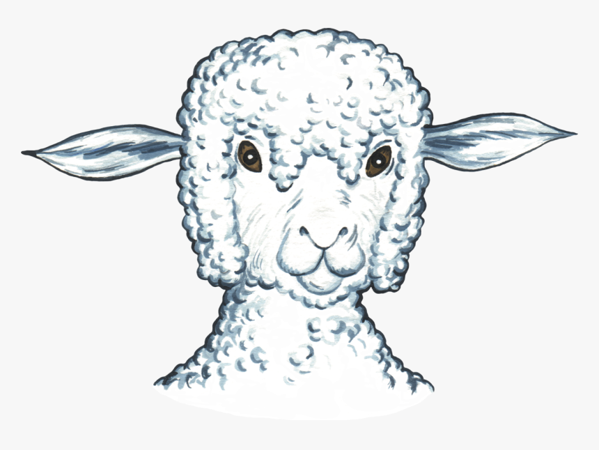 Detail Sheep Head Png Nomer 8