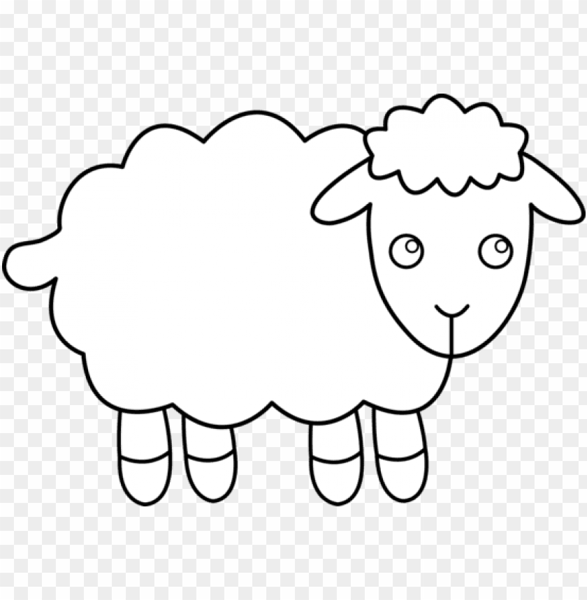 Detail Sheep No Background Nomer 30