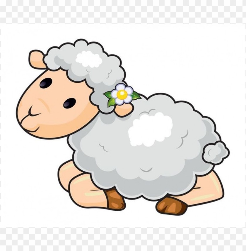 Detail Sheep No Background Nomer 36