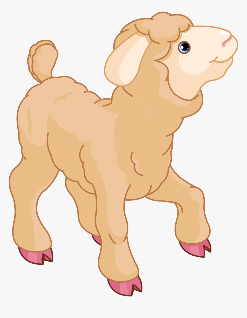 Detail Sheep No Background Nomer 40