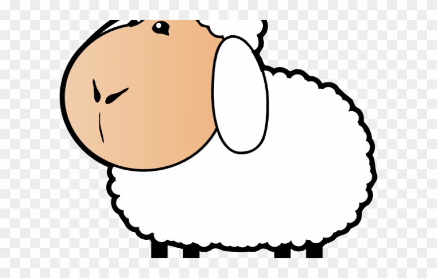 Detail Sheep No Background Nomer 45