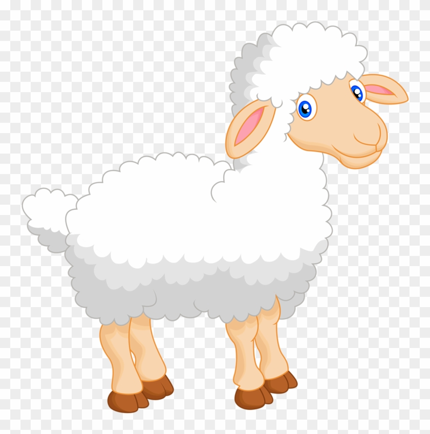Detail Sheep No Background Nomer 46