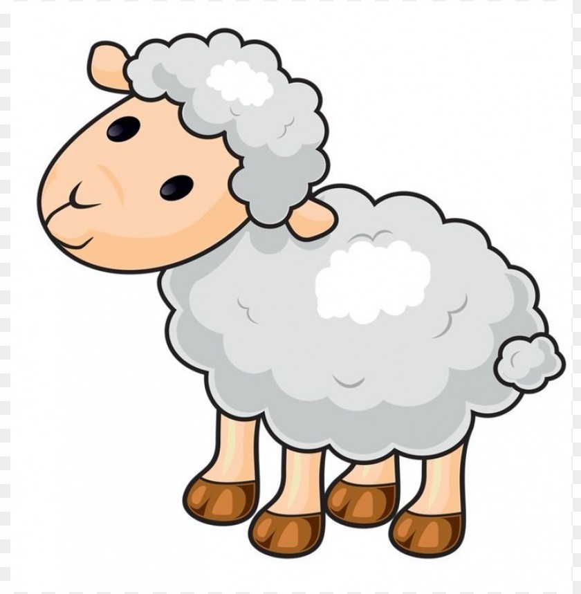 Detail Sheep No Background Nomer 51