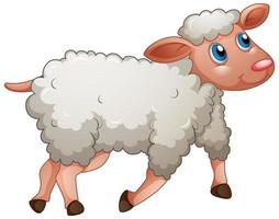 Detail Sheep Pictures Free Nomer 47