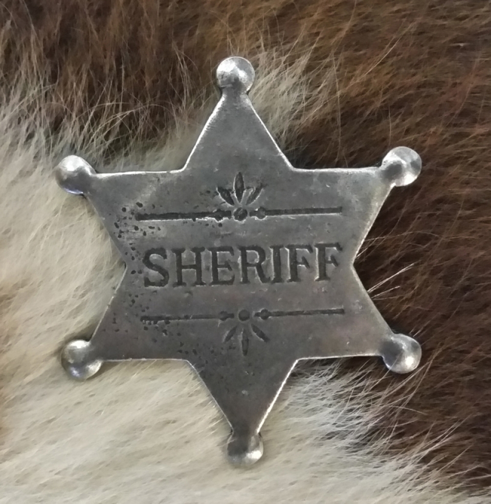 Detail Sheriffs Badge Nomer 40