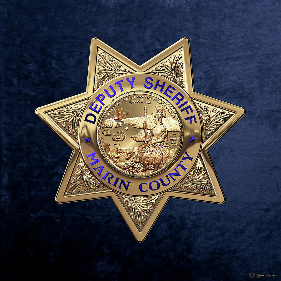 Detail Sheriffs Badge Nomer 45