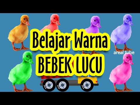 Detail Warna Bebek Kartun Nomer 34