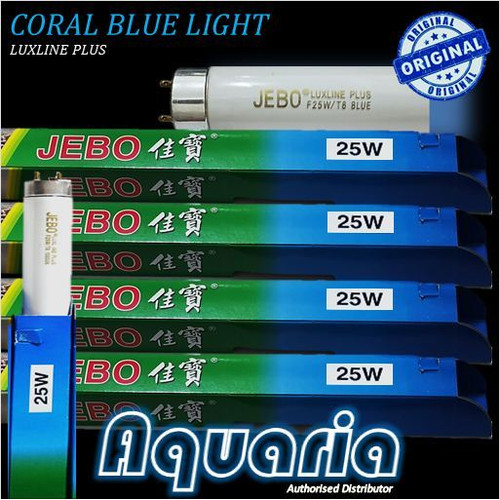 Detail Warna Biru Neon Nomer 12