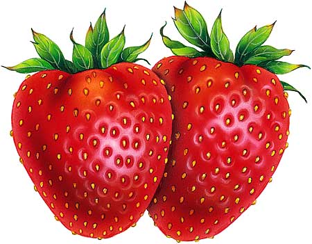 Detail Warna Buah Strawberry Nomer 19