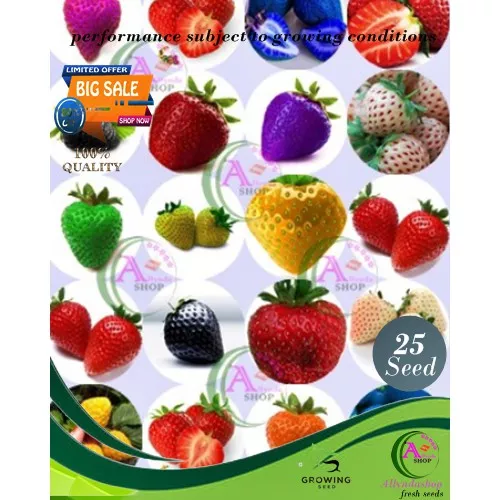 Detail Warna Buah Strawberry Nomer 23