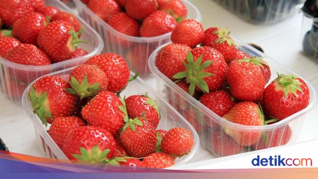 Detail Warna Buah Strawberry Nomer 31